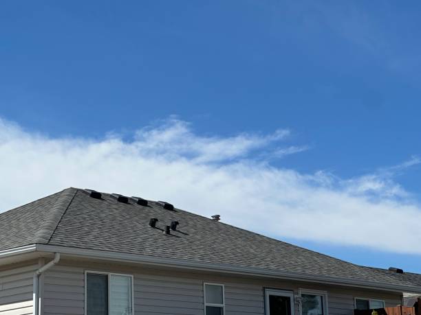 Best Green or Eco-Friendly Roofing Solutions  in Crittenden, KY